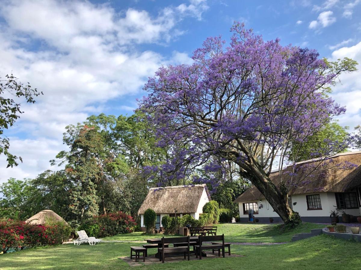 Thokozani Lodge White River Eksteriør billede