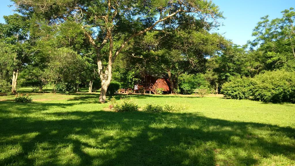 Thokozani Lodge White River Eksteriør billede